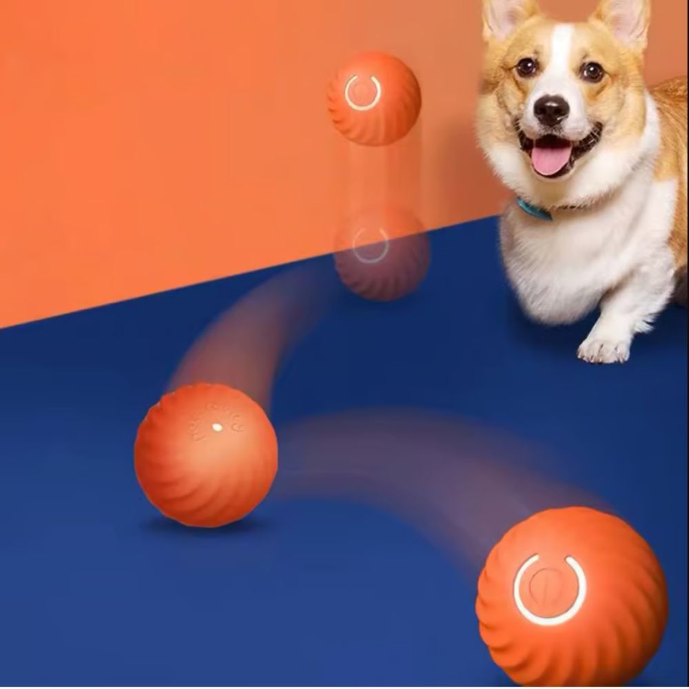 Graavity Pet ™ - Pelota inteligente para mascotas
