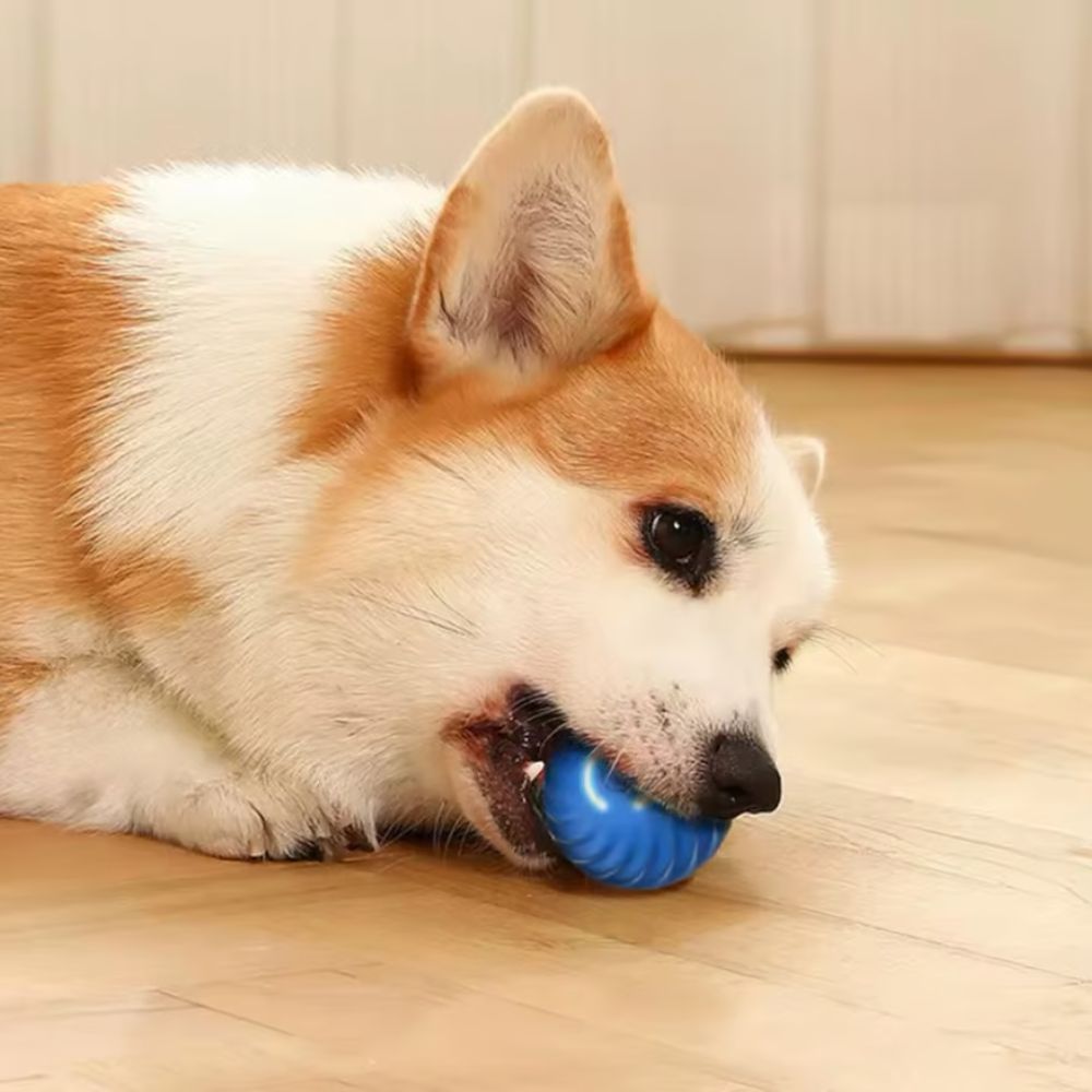 Graavity Pet ™ - Pelota inteligente para mascotas