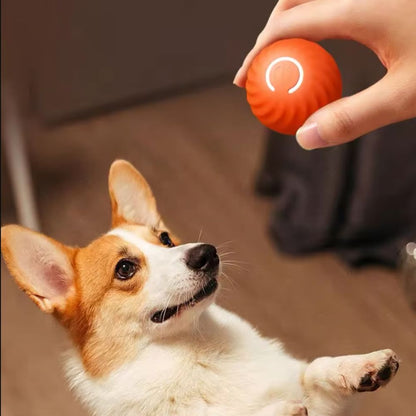 Graavity Pet ™ - Pelota inteligente para mascotas