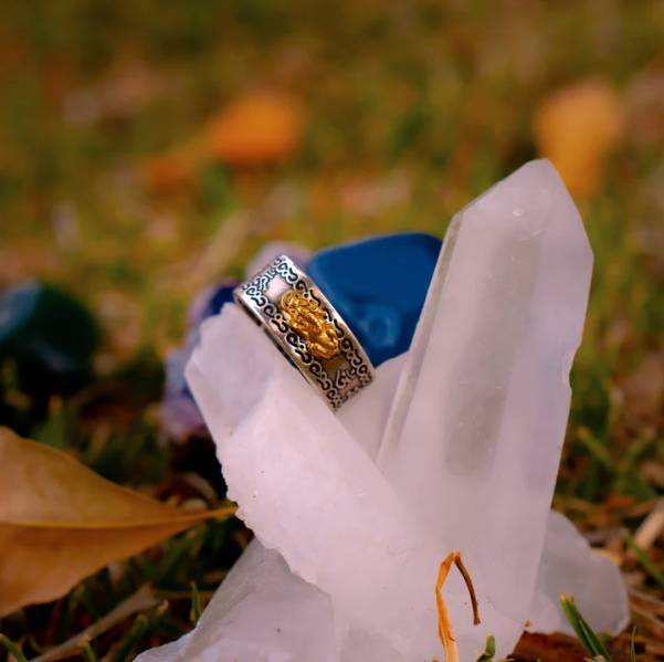 Anillo Feng Shui de la Abundancia
